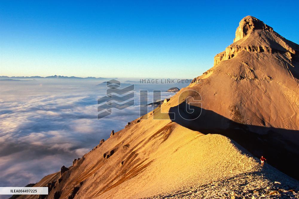 Illustration - The Alps in Summer