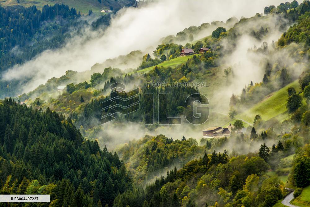Illustration - The Alps in Summer