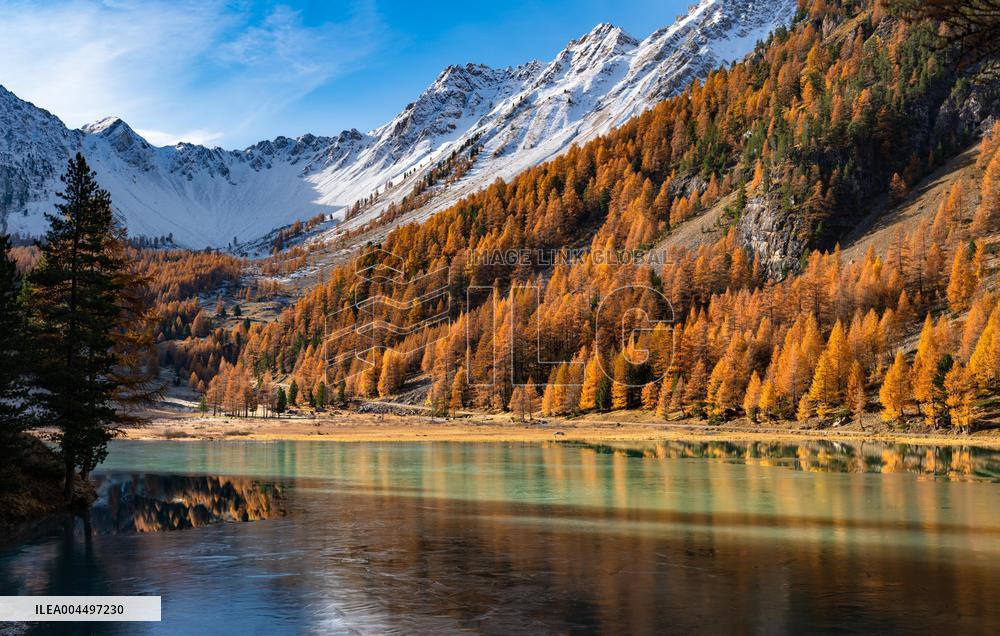 Illustration - The Alps in Summer
