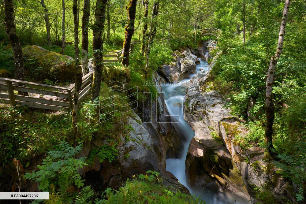 Illustration - The Alps in Summer