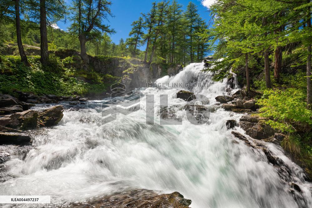 Illustration - The Alps in Summer