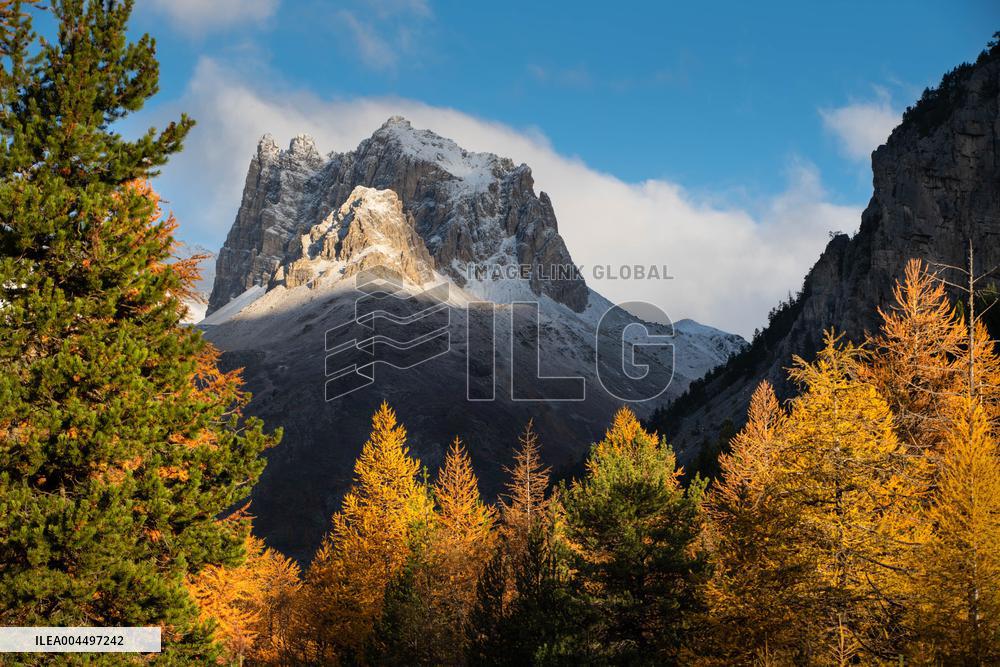 Illustration - The Alps in Summer