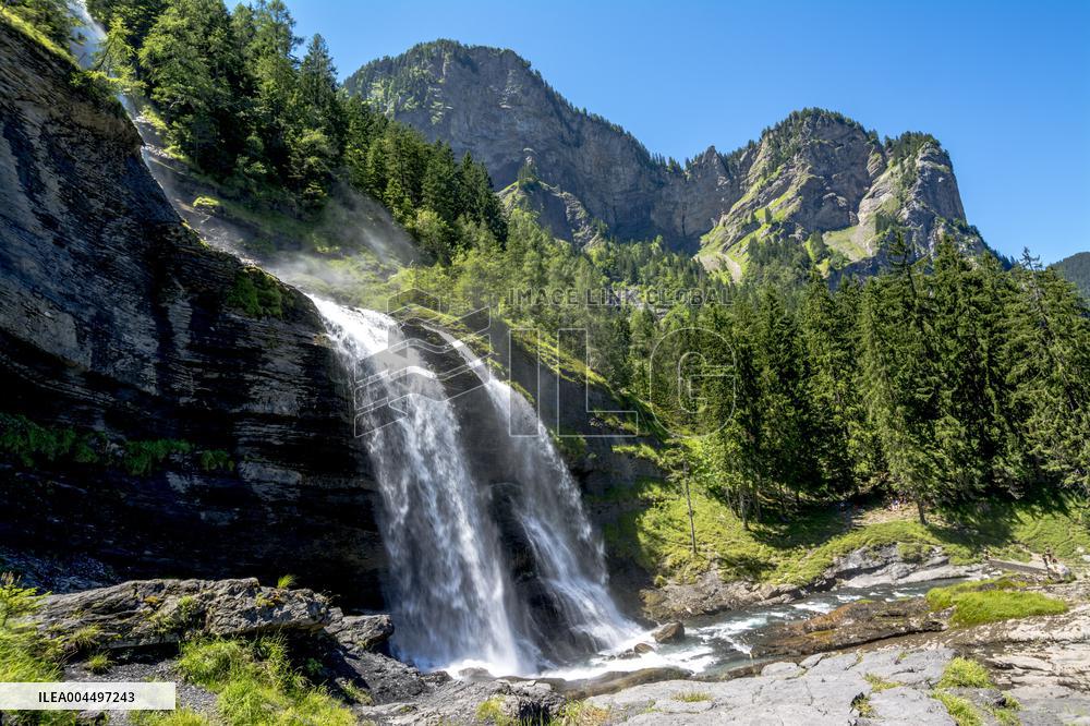 Illustration - The Alps in Summer