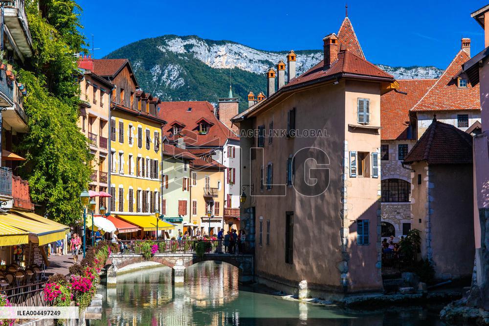 Illustration - The Alps in Summer