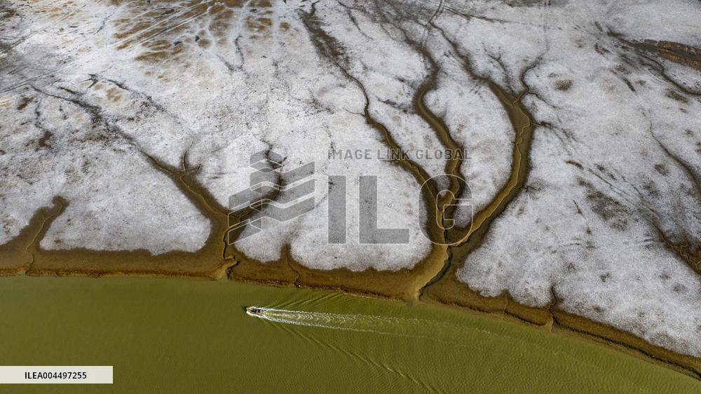 Tidal Trees in Qingdao