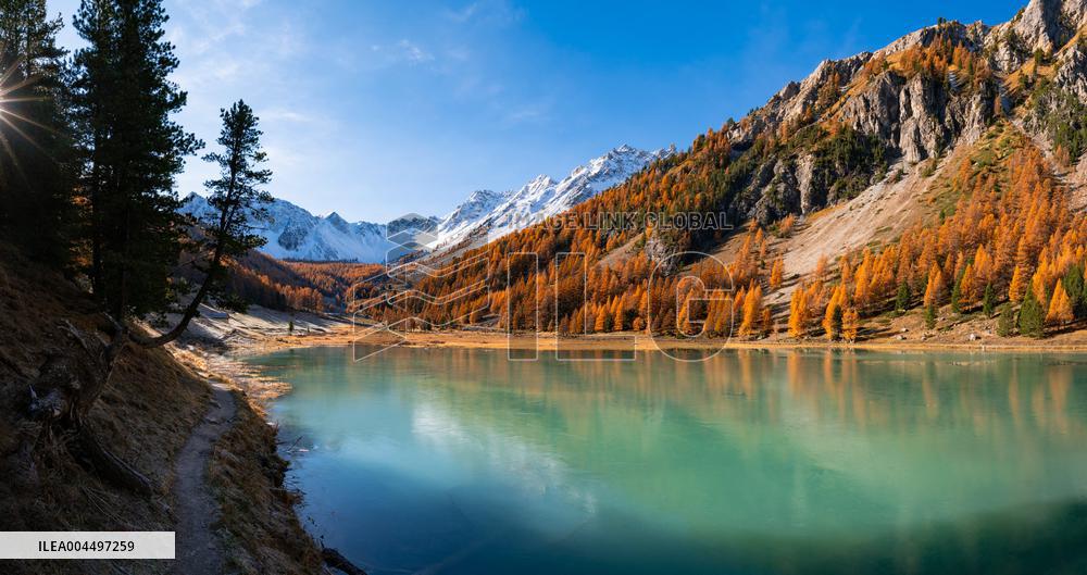 Illustration - The Alps in Summer