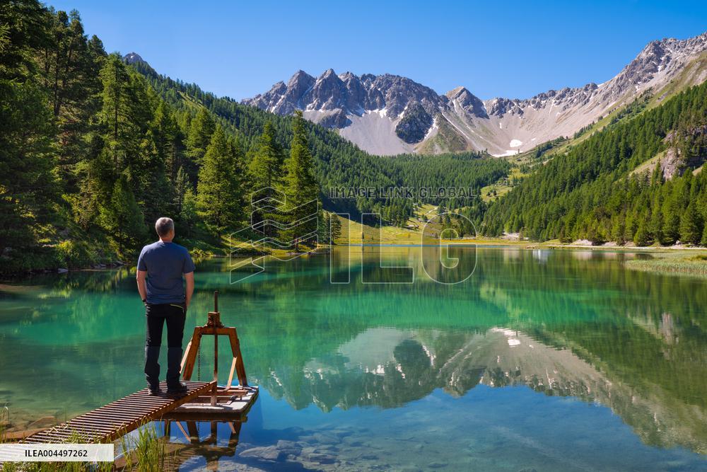 Illustration - The Alps in Summer