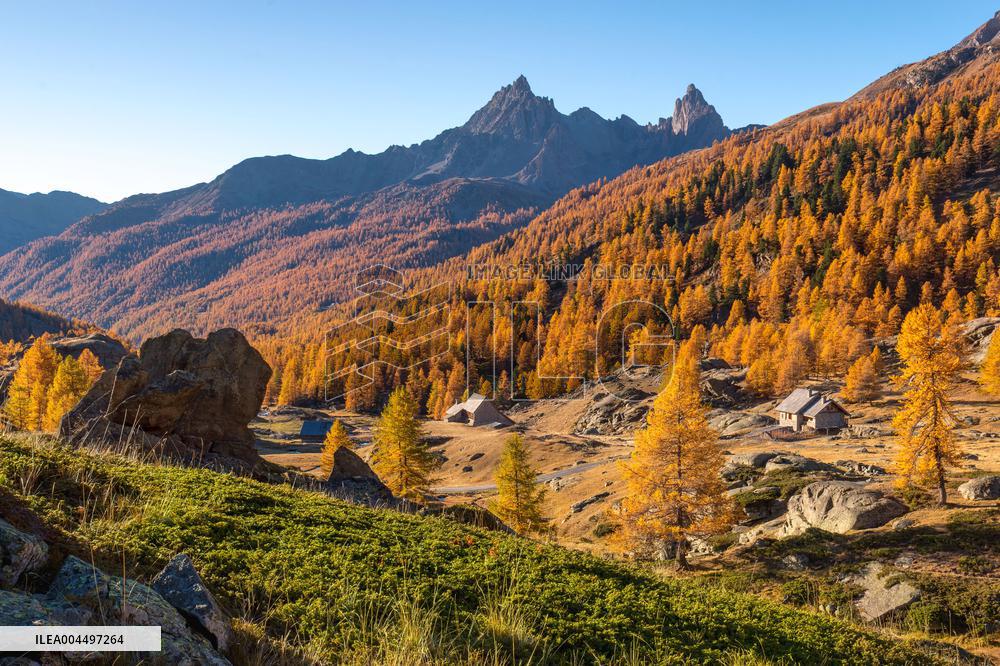 Illustration - The Alps in Summer