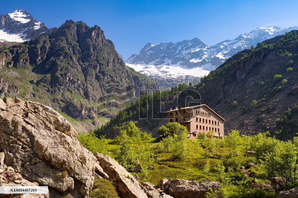 Illustration - The Alps in Summer