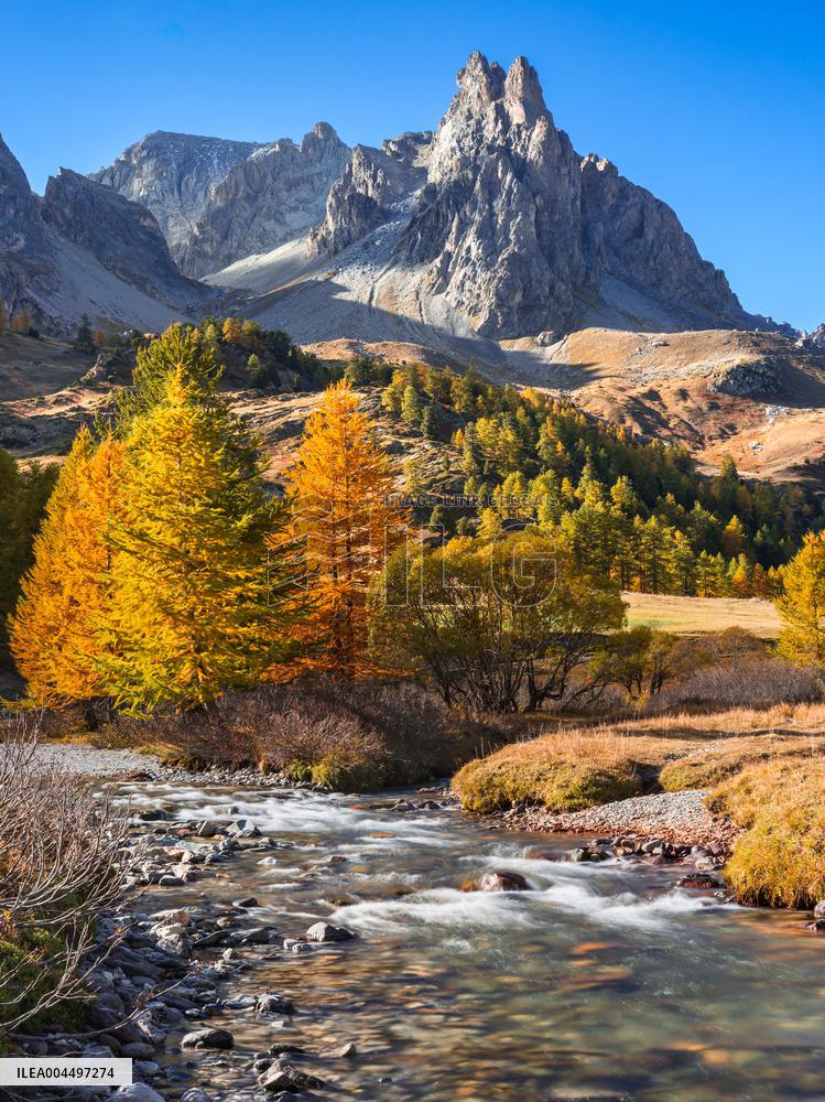 Illustration - The Alps in Summer