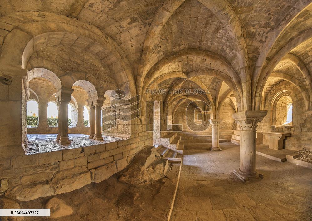 Illustration - Provence