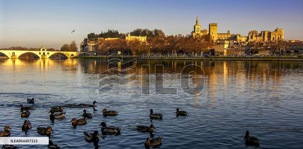 Illustration - Provence