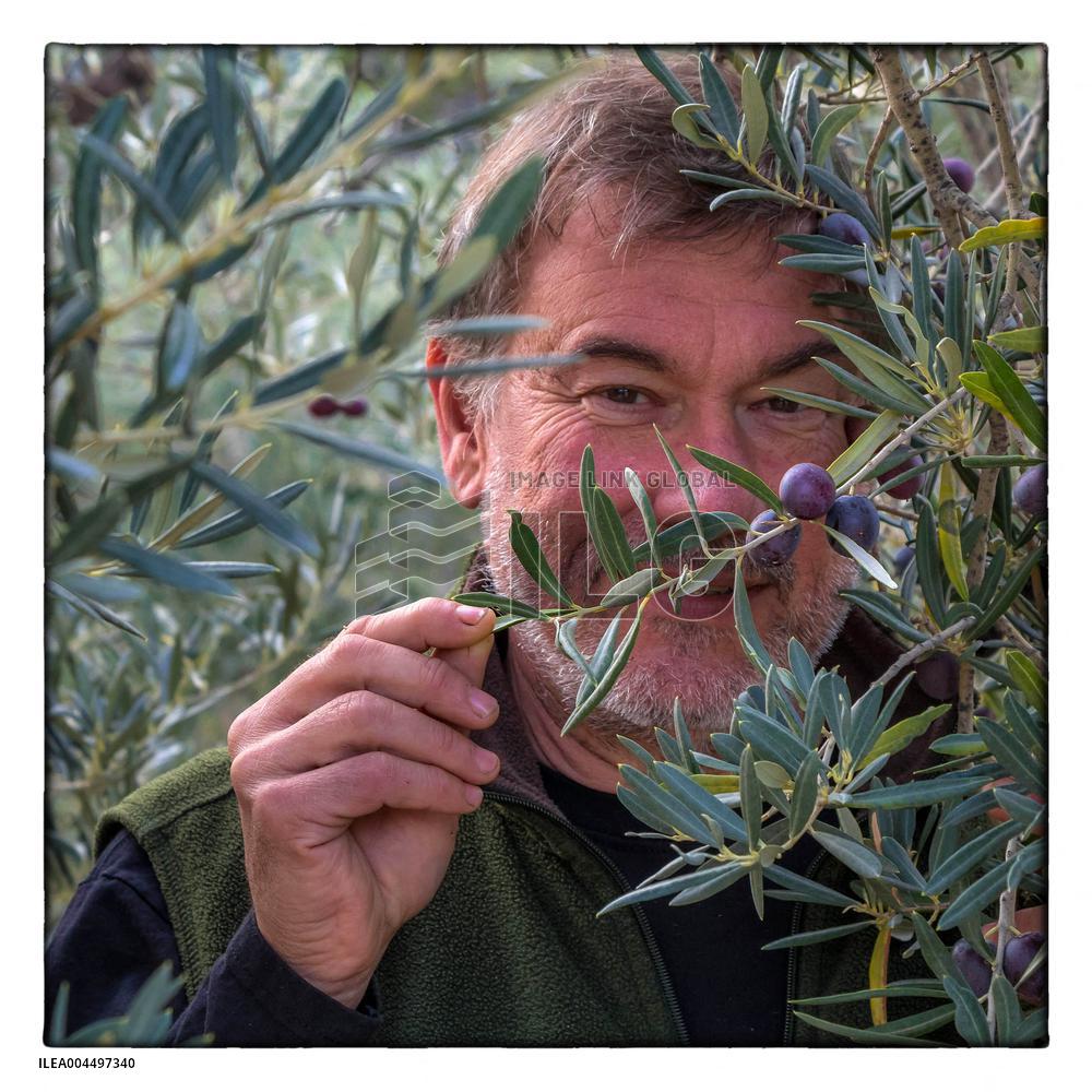 Illustration - Provence