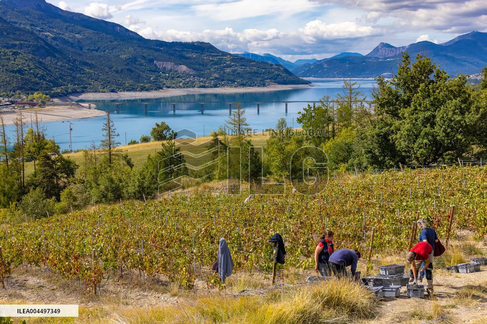 Illustration - Provence