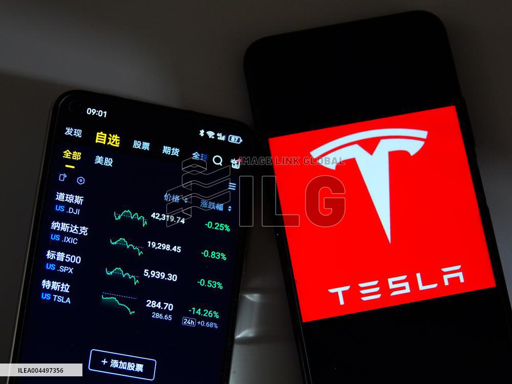 Tesla Stock Price Plummet