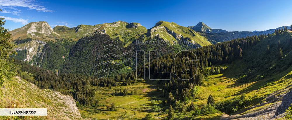 Illustration - The Alps in Summer