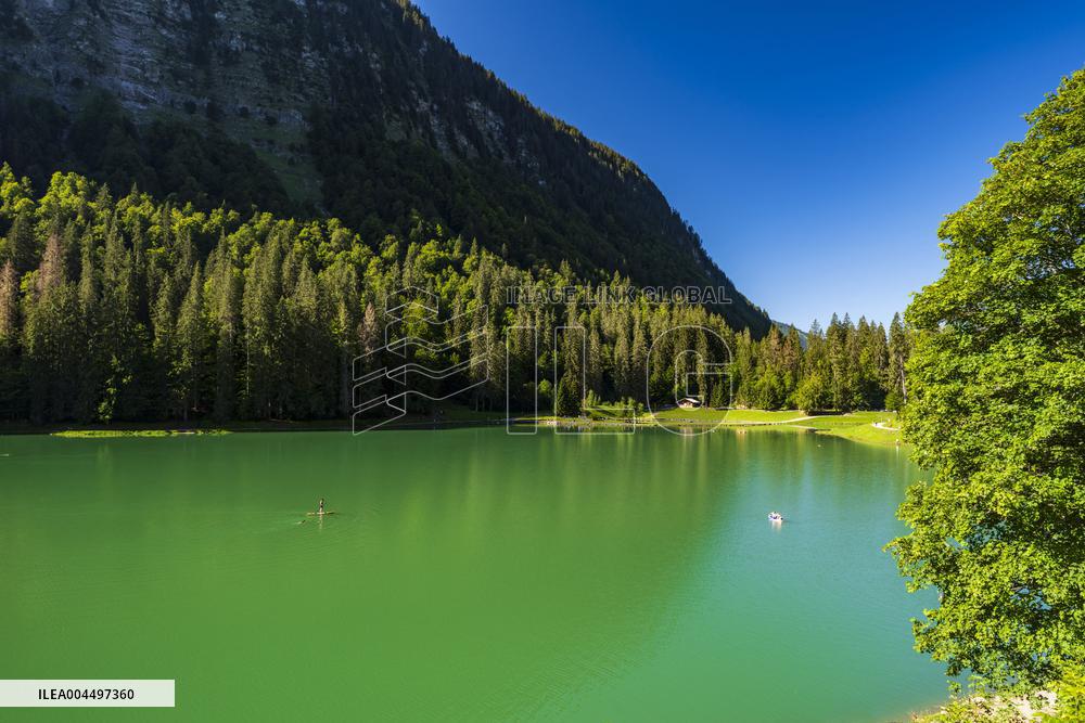 Illustration - The Alps in Summer