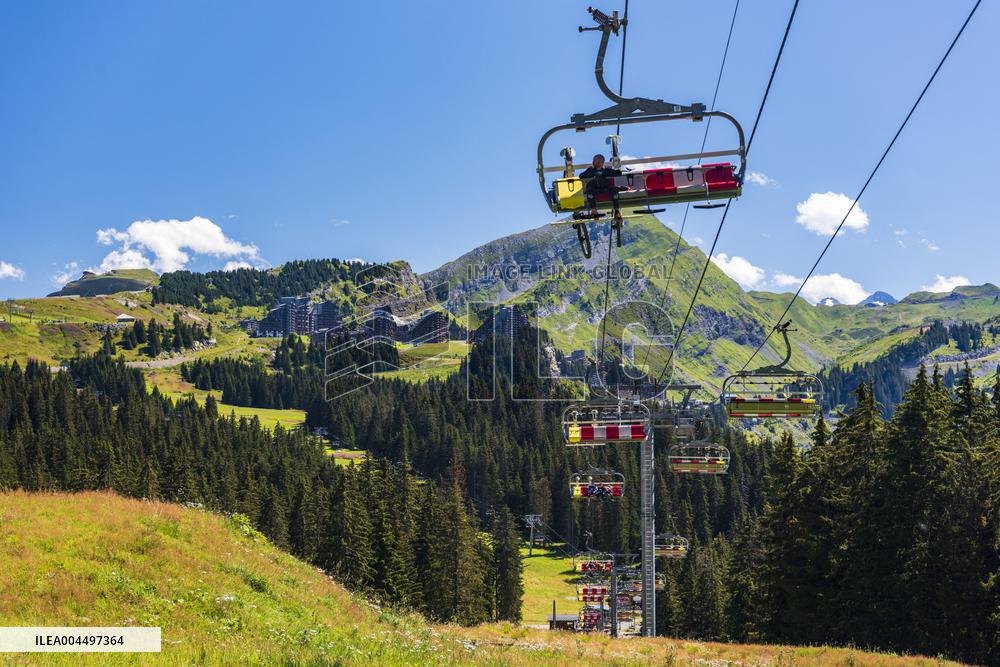 Illustration - The Alps in Summer