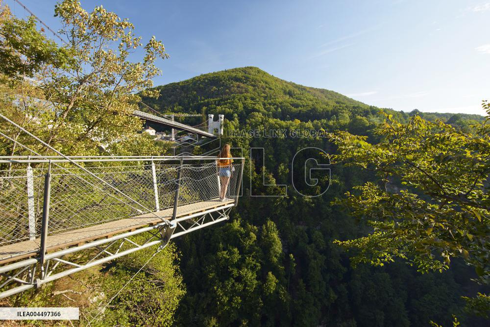 Illustration - The Alps in Summer