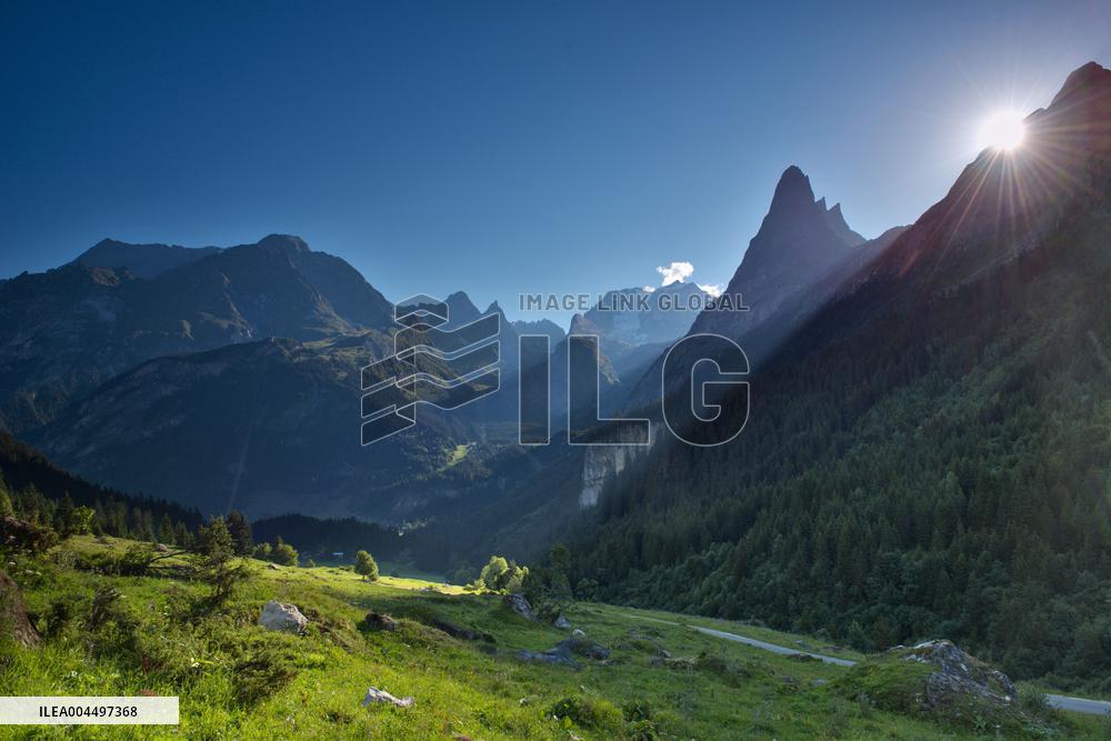 Illustration - The Alps in Summer