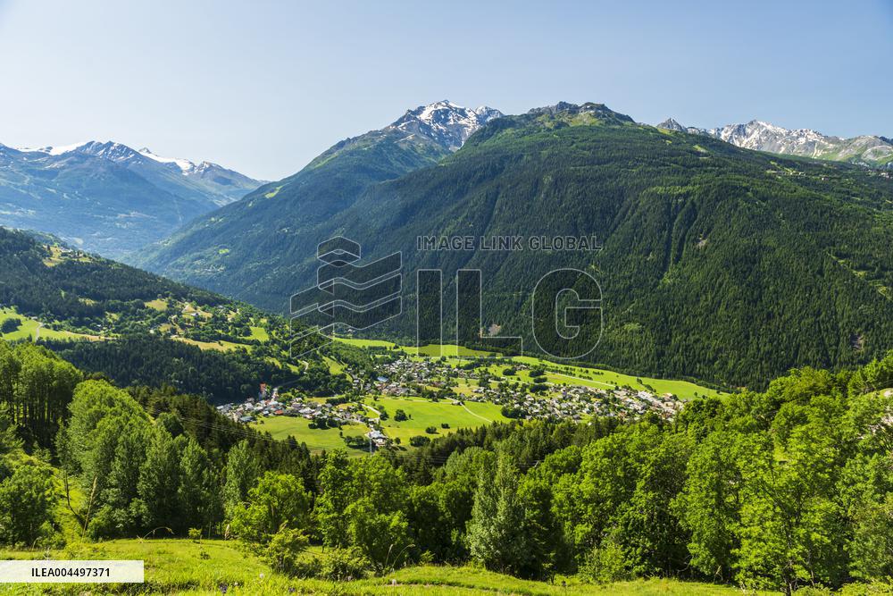 Illustration - The Alps in Summer
