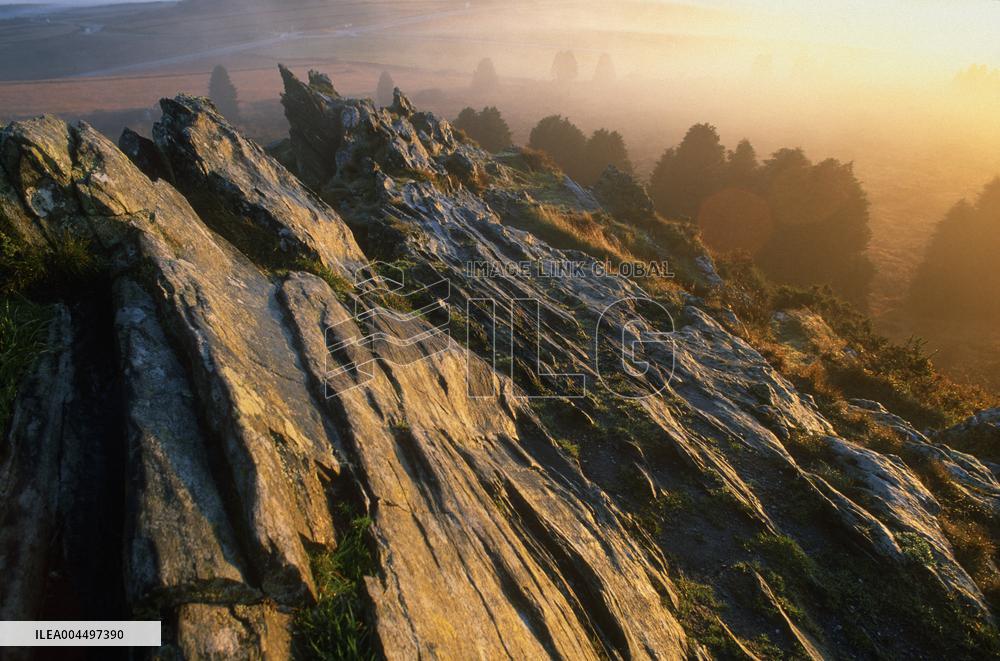 Illustration - Brittany