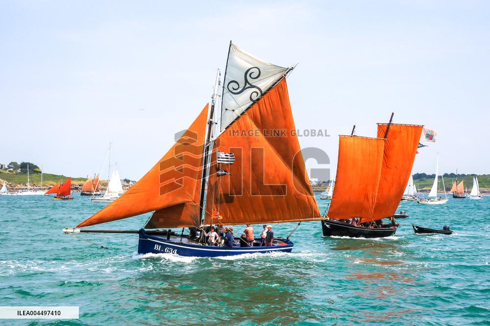 Illustration - Brittany