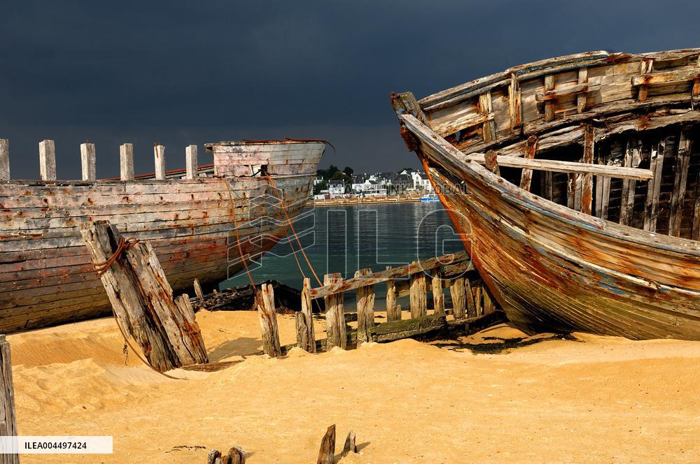 Illustration - Brittany