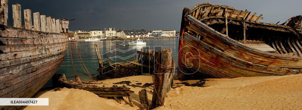 Illustration - Brittany