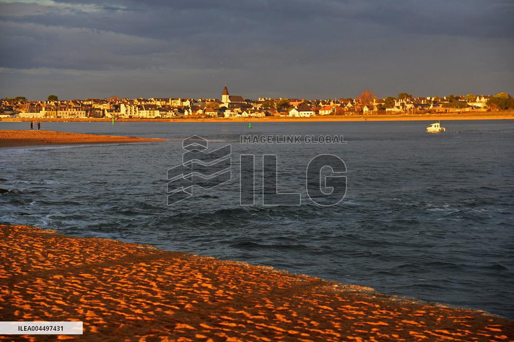 Illustration - Brittany