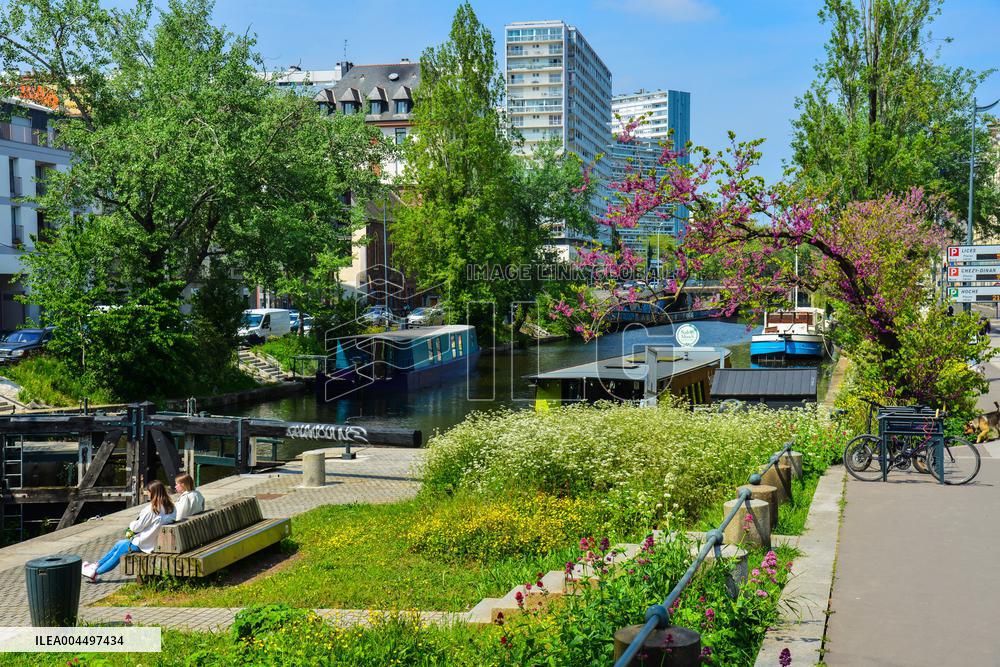 Illustration - Brittany