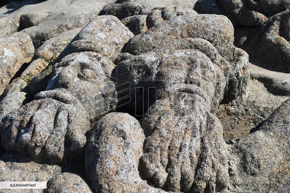 Illustration - Brittany