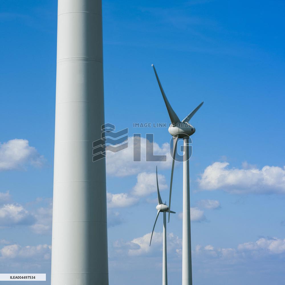 Illustration - Economy