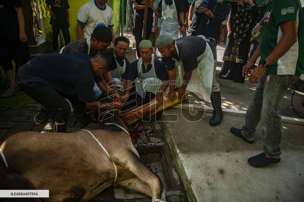 Sacrifices During Eid al-Adha Celebrations in Medan