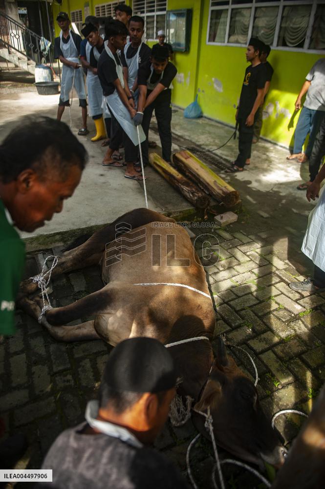 Sacrifices During Eid al-Adha Celebrations in Medan