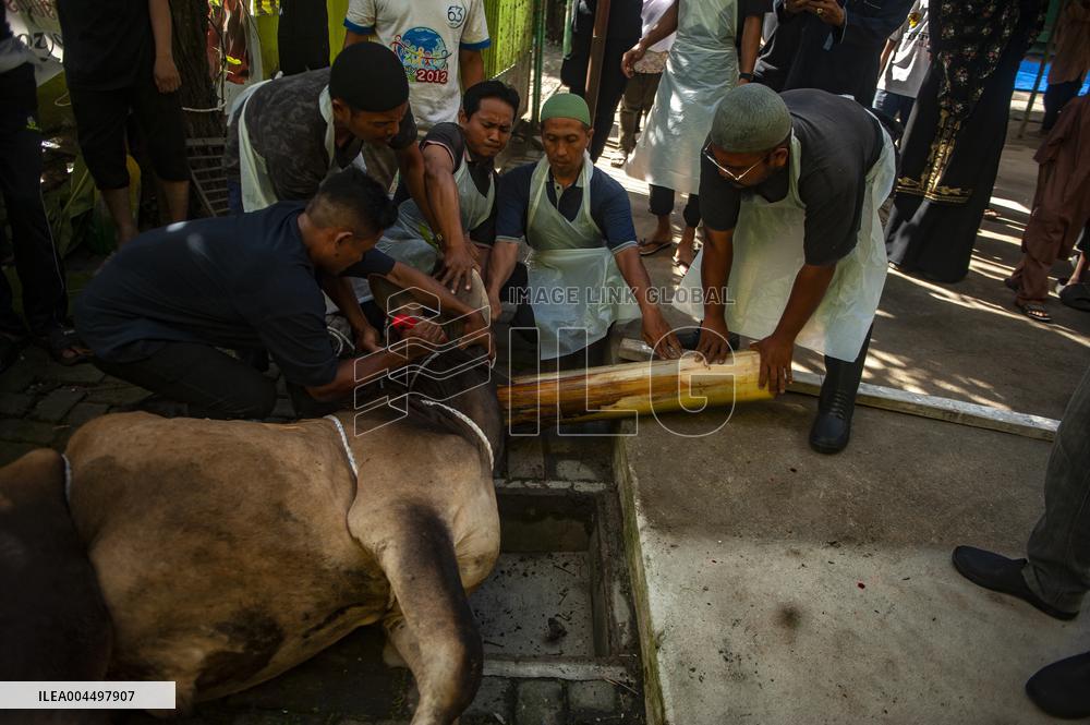 Sacrifices During Eid al-Adha Celebrations in Medan
