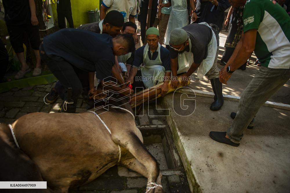 Sacrifices During Eid al-Adha Celebrations in Medan