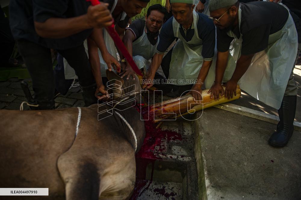Sacrifices During Eid al-Adha Celebrations in Medan