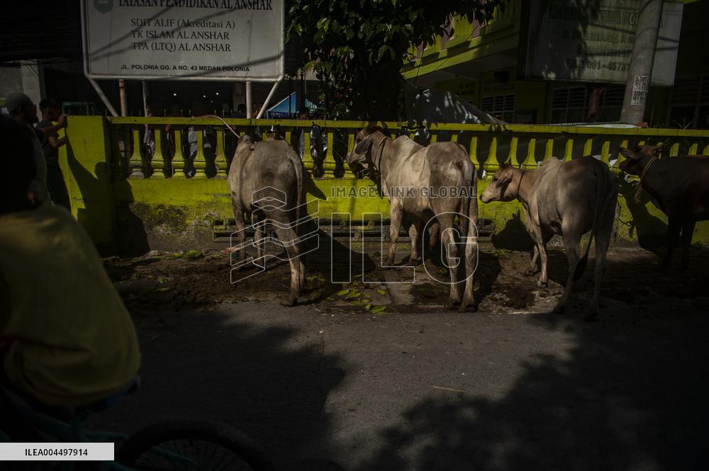 Sacrifices During Eid al-Adha Celebrations in Medan