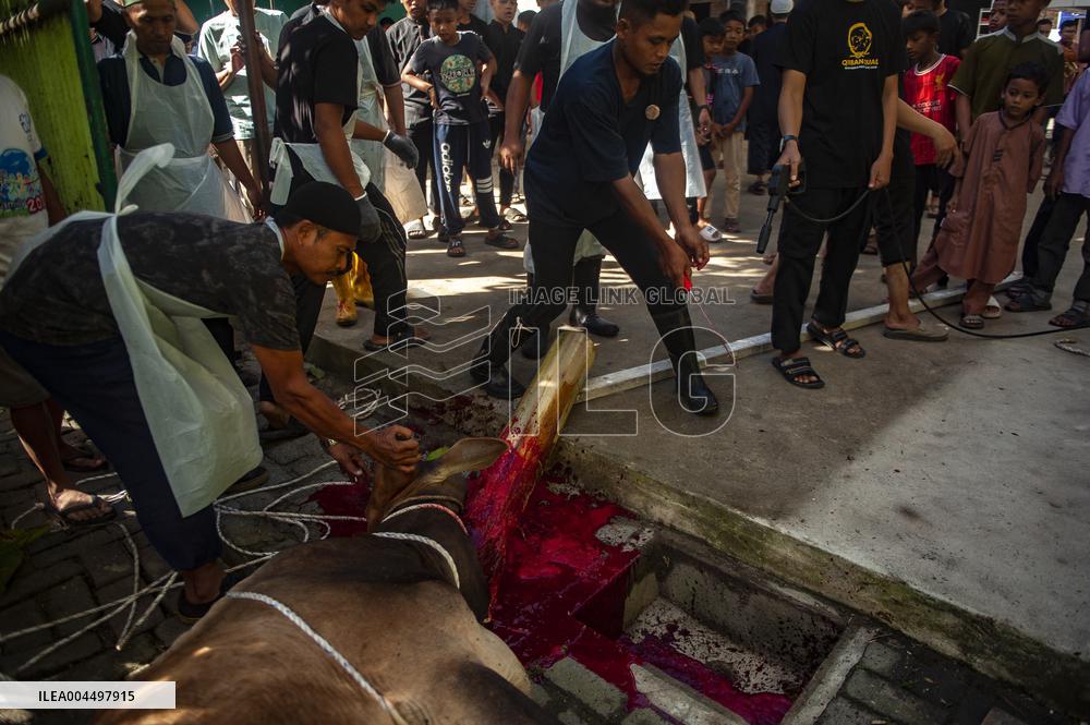 Sacrifices During Eid al-Adha Celebrations in Medan