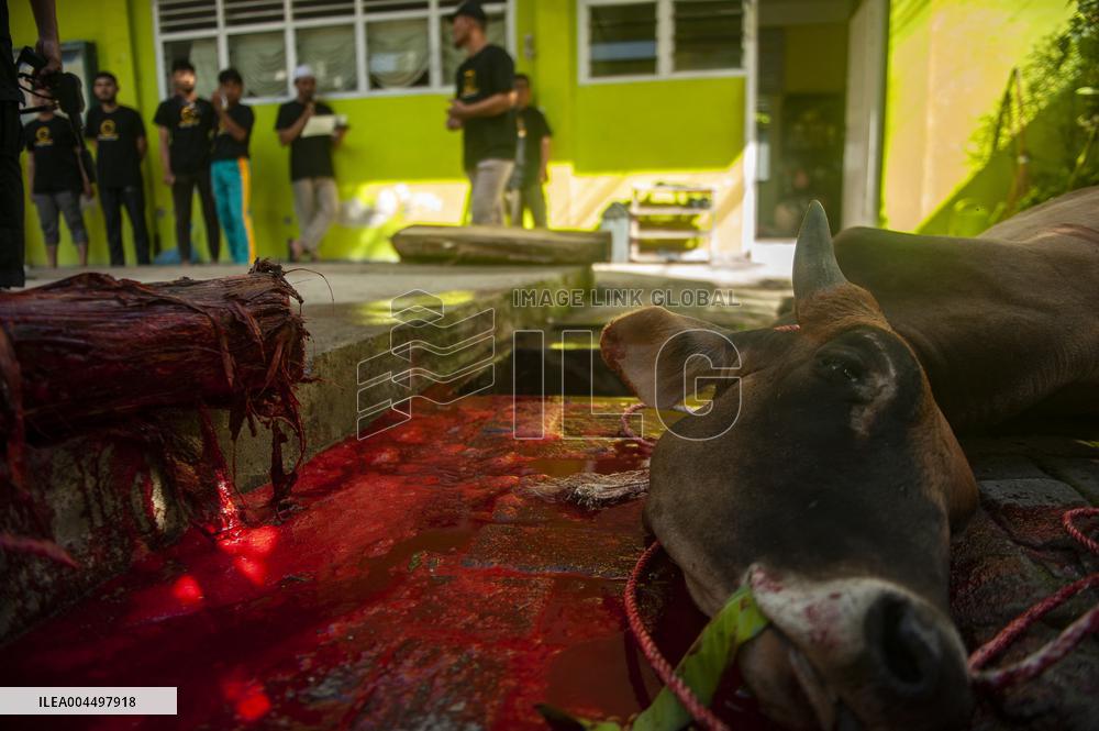 Sacrifices During Eid al-Adha Celebrations in Medan
