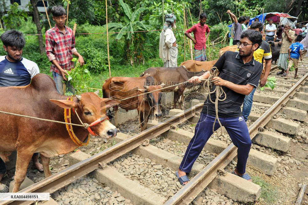 Bangladeshi Eid al-Adha Festival Preparations
