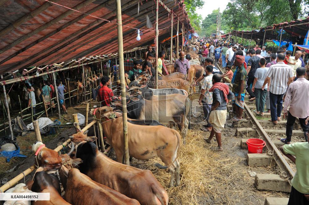 Bangladeshi Eid al-Adha Festival Preparations