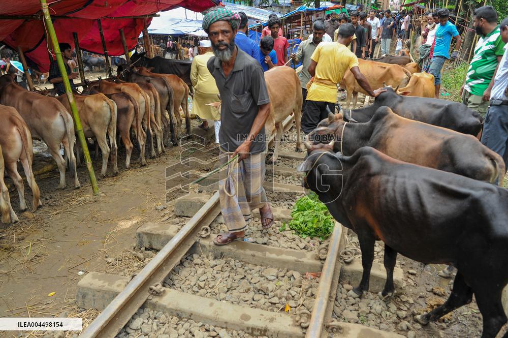 Bangladeshi Eid al-Adha Festival Preparations