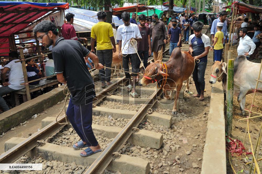 Bangladeshi Eid al-Adha Festival Preparations