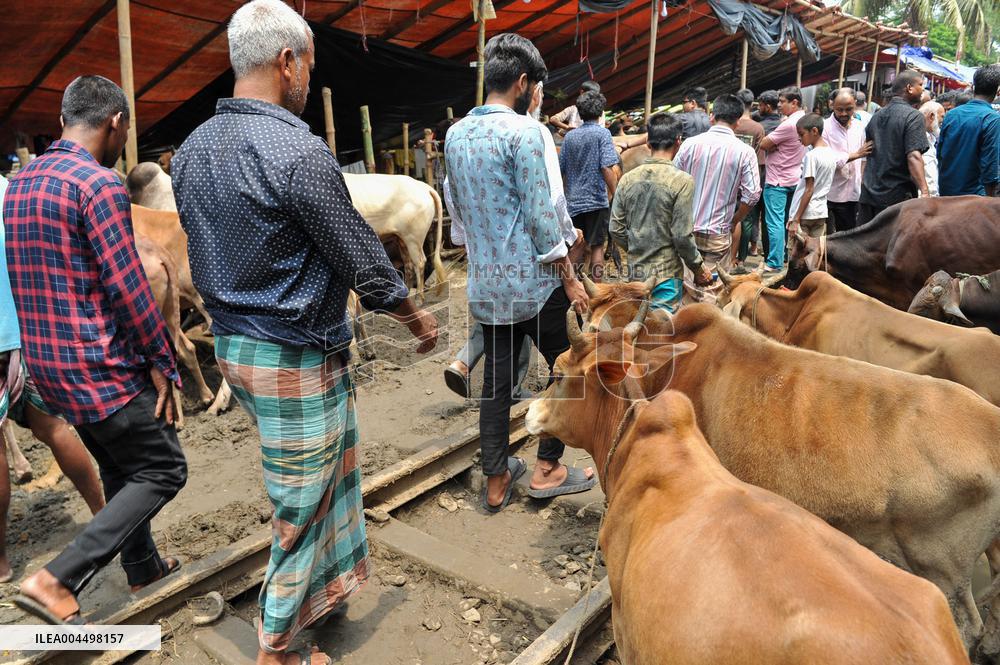 Bangladeshi Eid al-Adha Festival Preparations