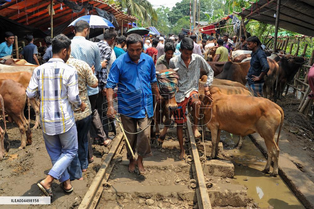 Bangladeshi Eid al-Adha Festival Preparations