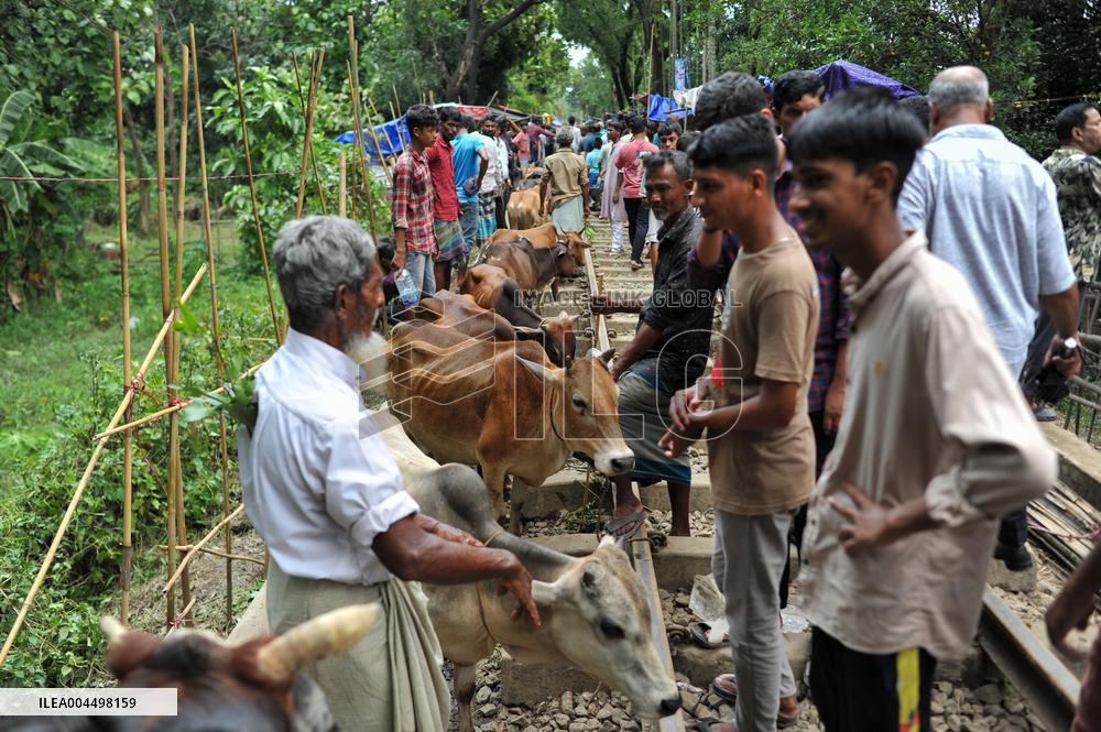 Bangladeshi Eid al-Adha Festival Preparations