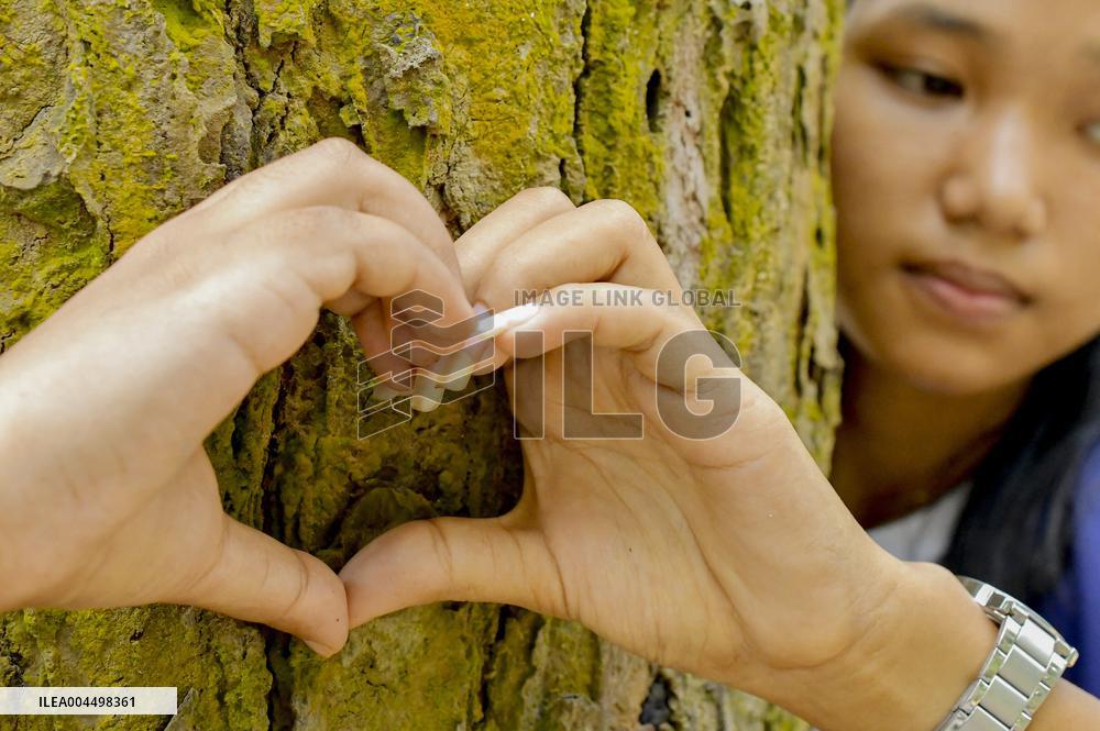 World Environment Day - India