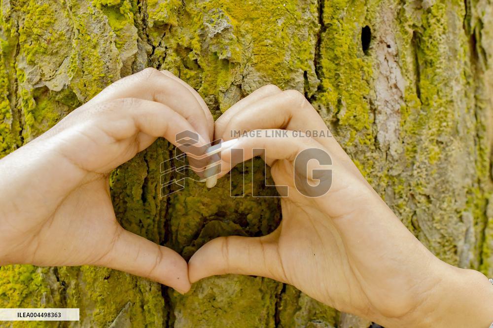 World Environment Day - India